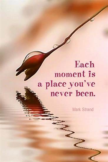 each moment by mark sand