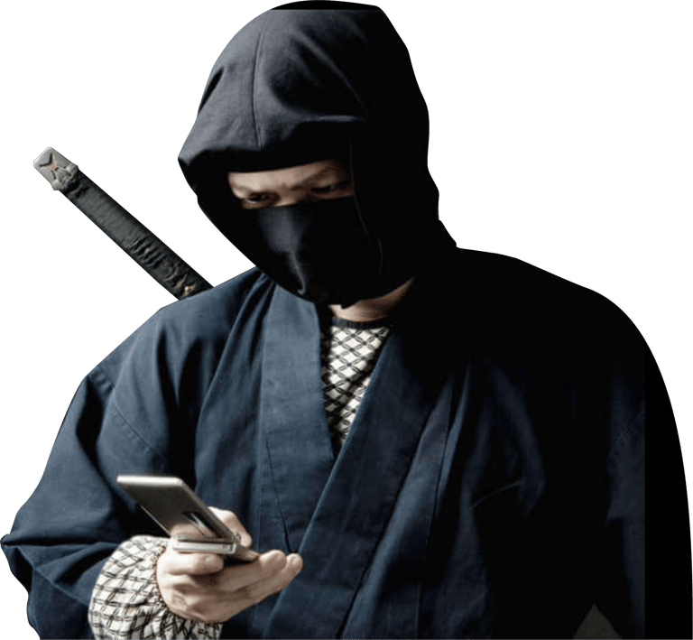 atendimento ninja leo classicos vistorias