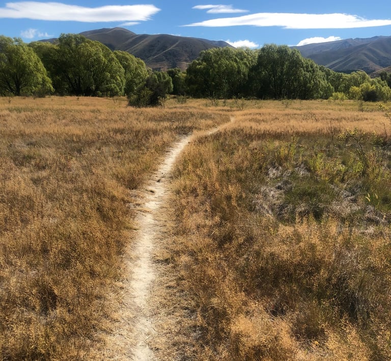 Peaceful pathway representing the journey of women's wellness workshops in Castlegar BC