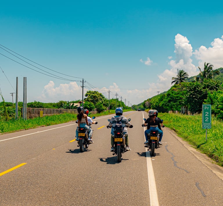 disfrutando del recorrido guiado
