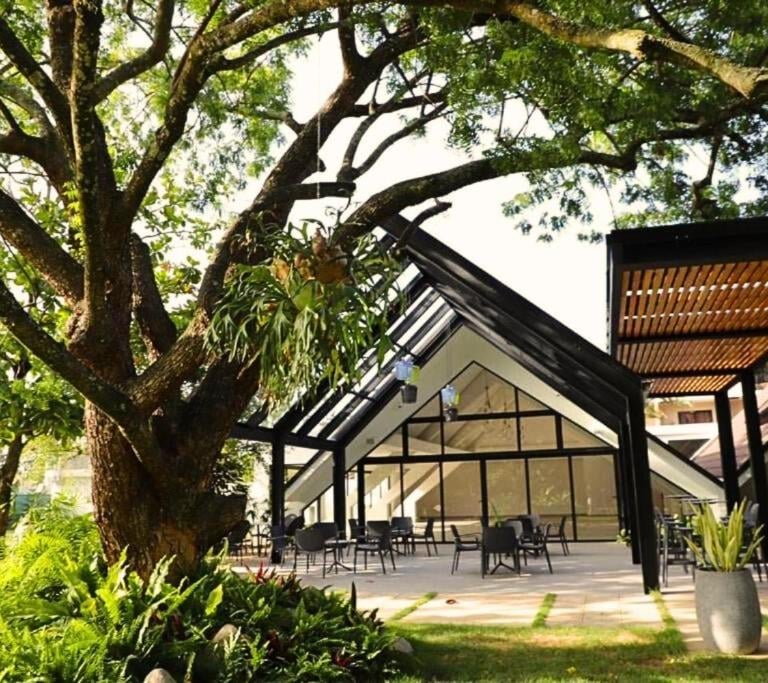 pinar dorado jarabacoa