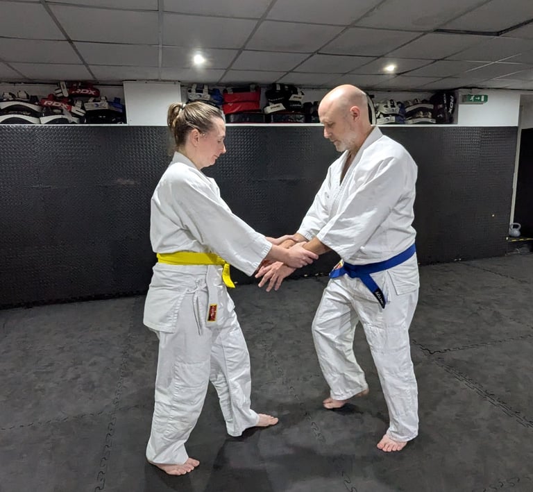 Ki Aikido photo