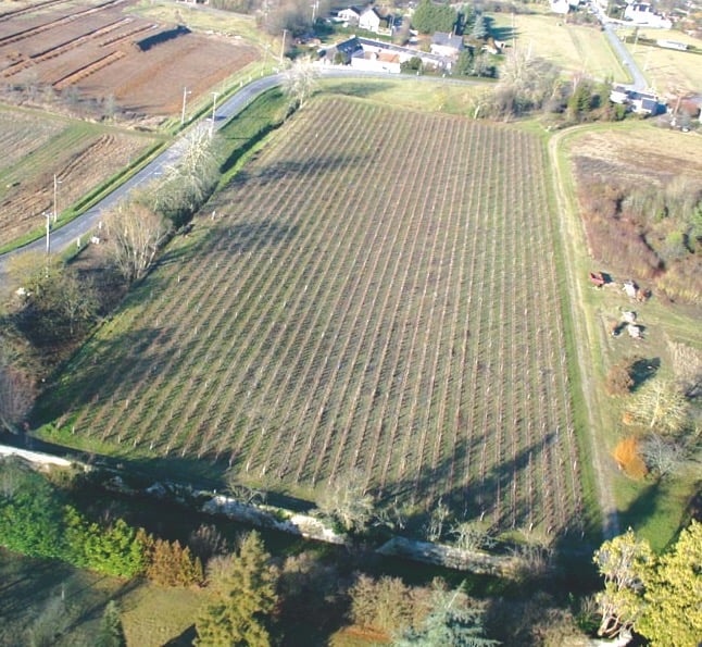 Chateau de Chanteloup, Duc de Choiseul, Pagode, Douves