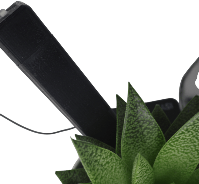 plant moisture sensor with raspberry pi diy