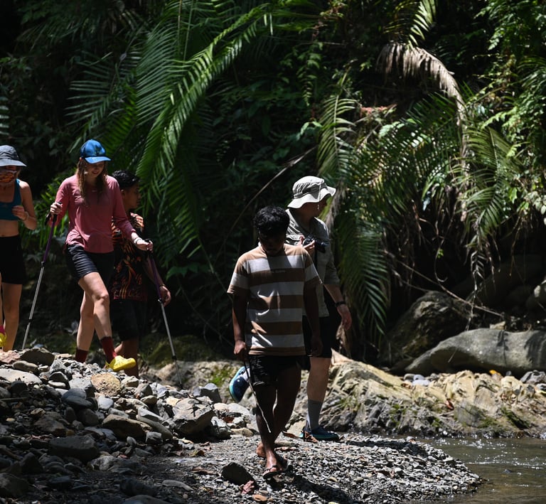 Sumatra Trip