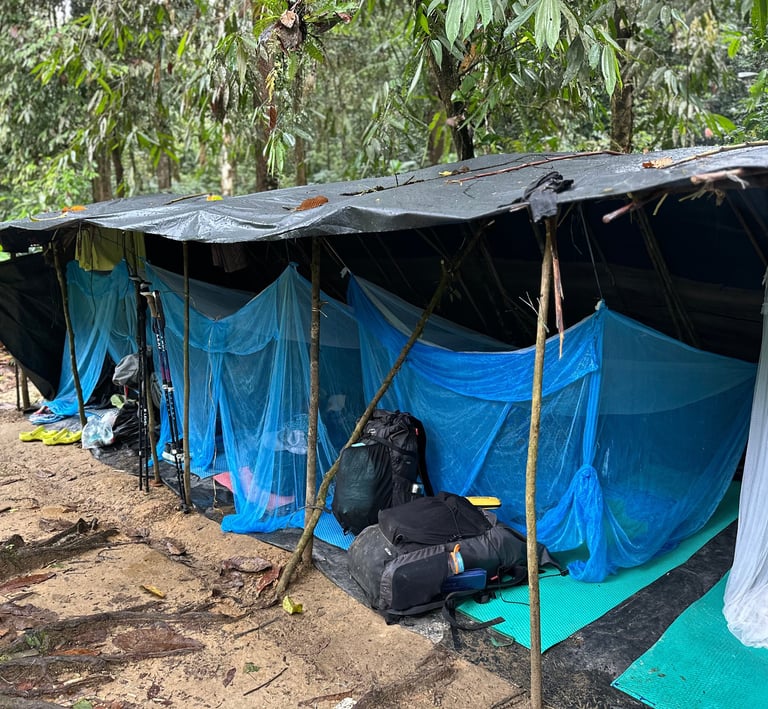 Bukit Lawang Trekking
