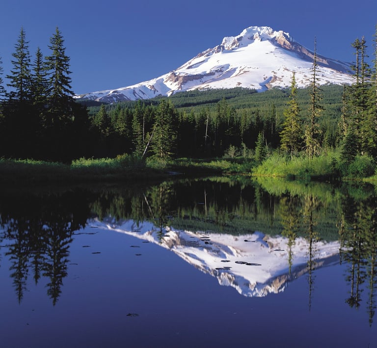 Mount Hood