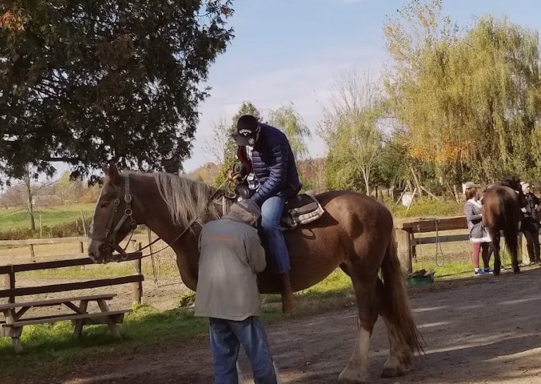 guide adjusting riders stirrups