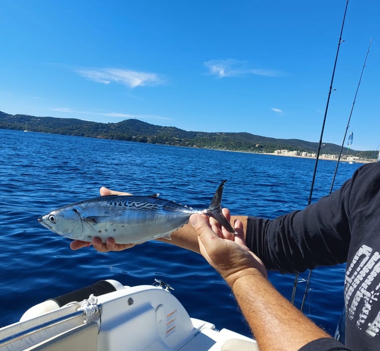 journee-peche-bormes-les-mimosas