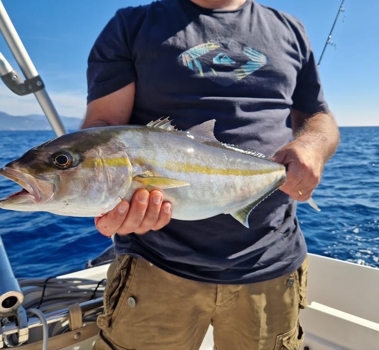 sortie-peche-mediterranee