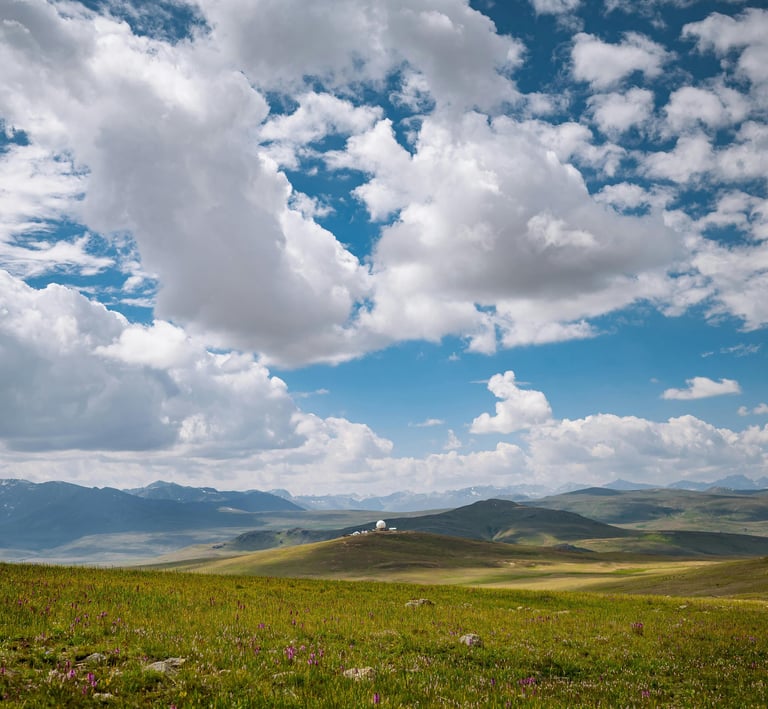 Deosai national park