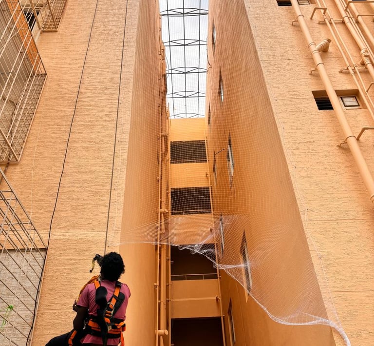 Image showing a team carefully fitting pigeon nets on a residential window frame.