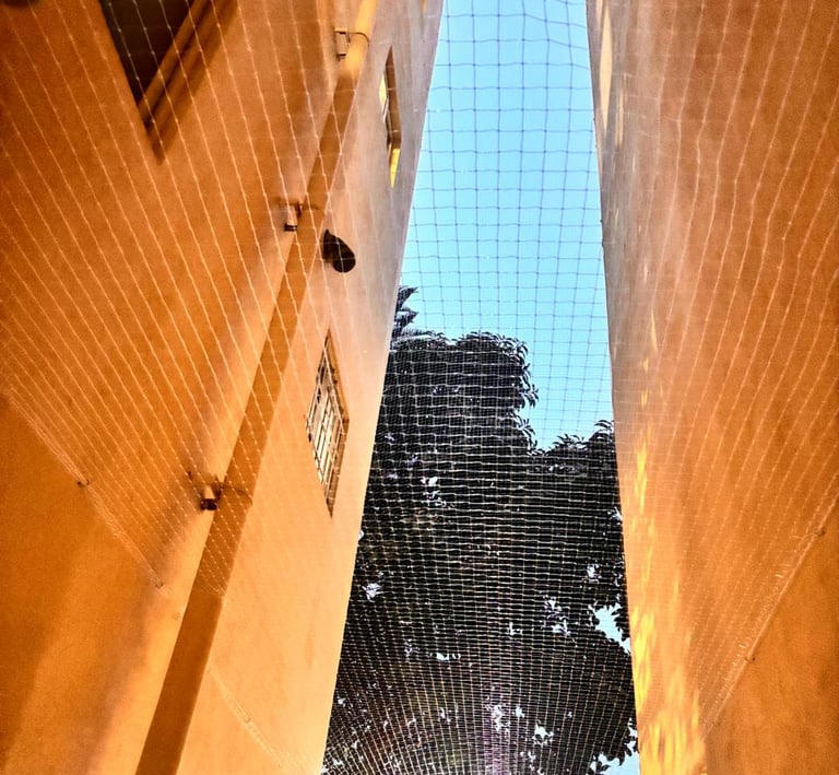 view of an apartment building in Mumbai with multiple duct areas covered by pigeon nets.