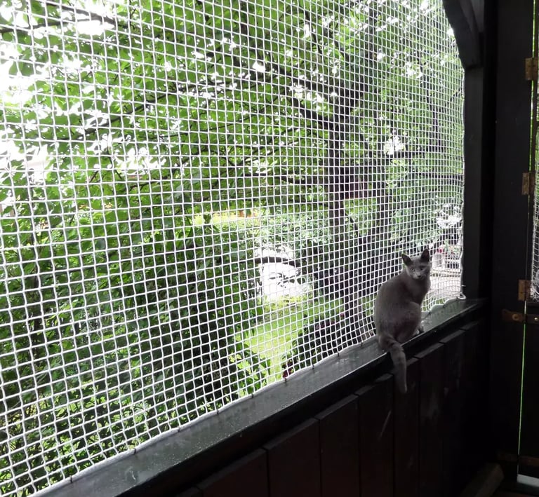 A happy cat perched safely behind a mesh net on a sunny Mumbai apartment window.