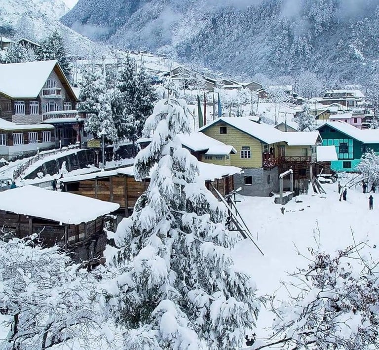 LACHUNG HOMESTAY