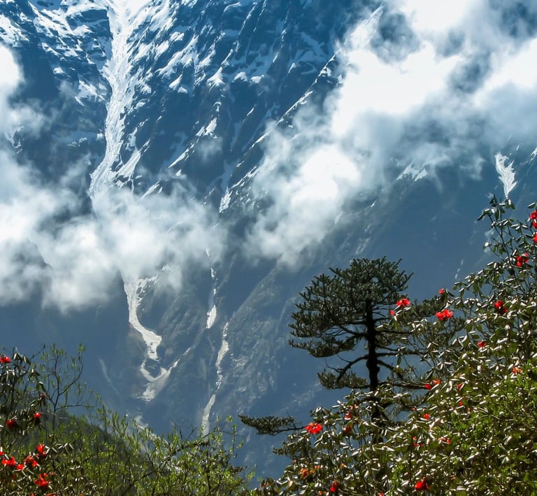 LACHUNG HOMESTAY
