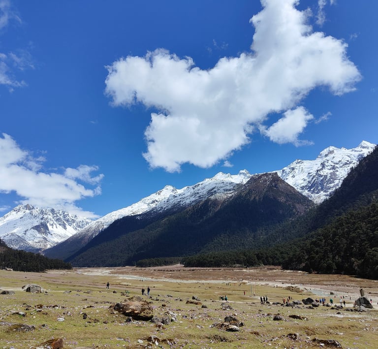 LACHUNG HOMESTAY
