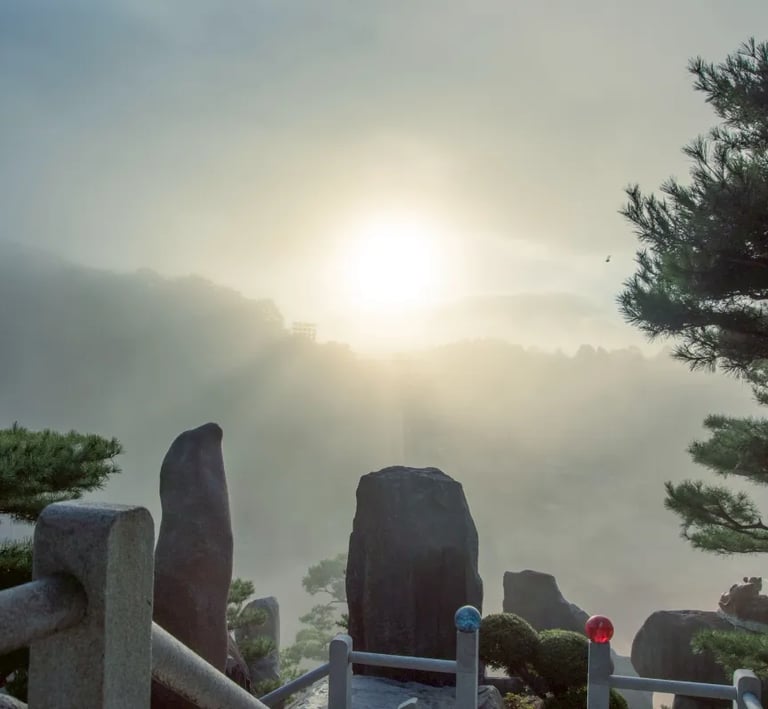 Stroll Through the Historic Land Known as the Birthplace of Kings