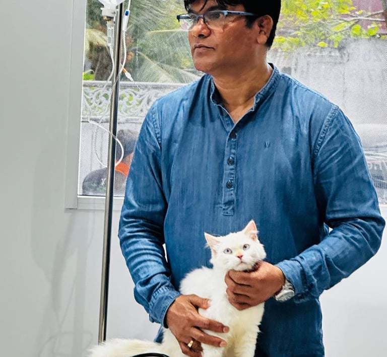 veterinarian Dr Jagath caring for a cat at Pet Pulse Animal Hospital