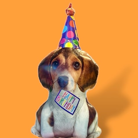 globo microfoil perro cumpleaños