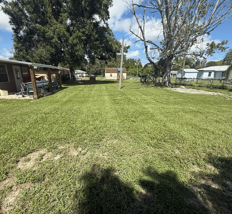 a backyard with a dog house and a dog house