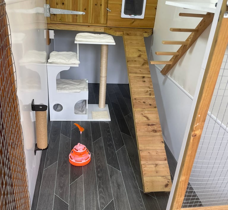 inside luxury cattery penthouse