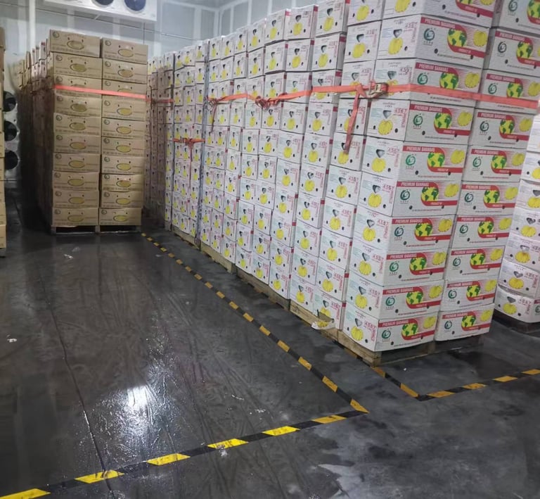 Banana Ripening Room