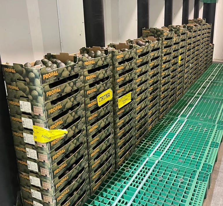 Avocada Ripening Room