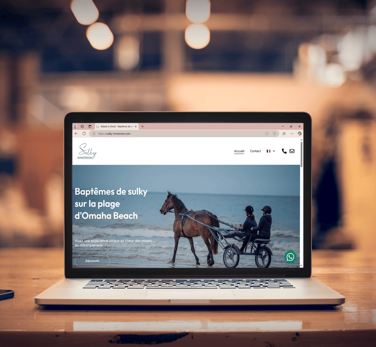 Site internet Sulky Immersion