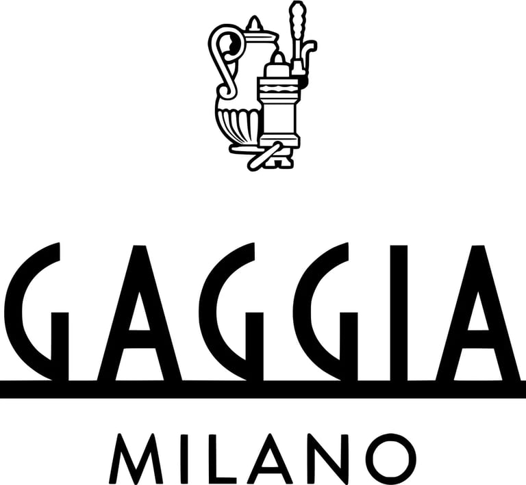 gaggia teknik servisi