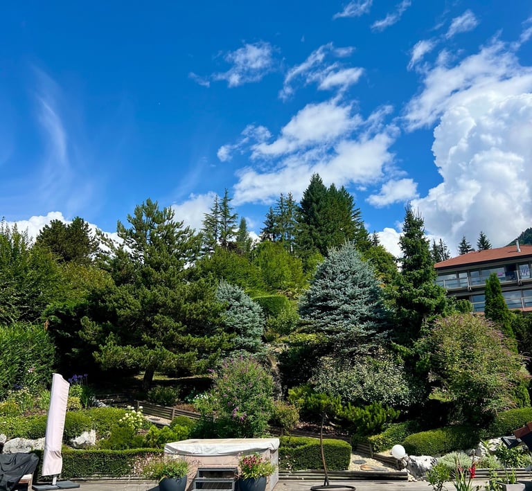 entretien des massifs du jardin à Talloires
