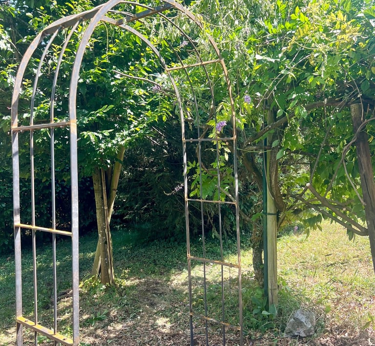 mise en place d'une arche et sa glycine à Faverges