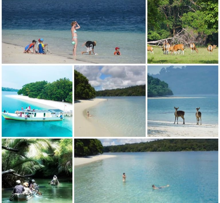 Ujung Kulon Tour 2d1n