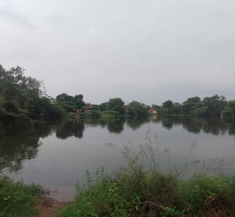 pond