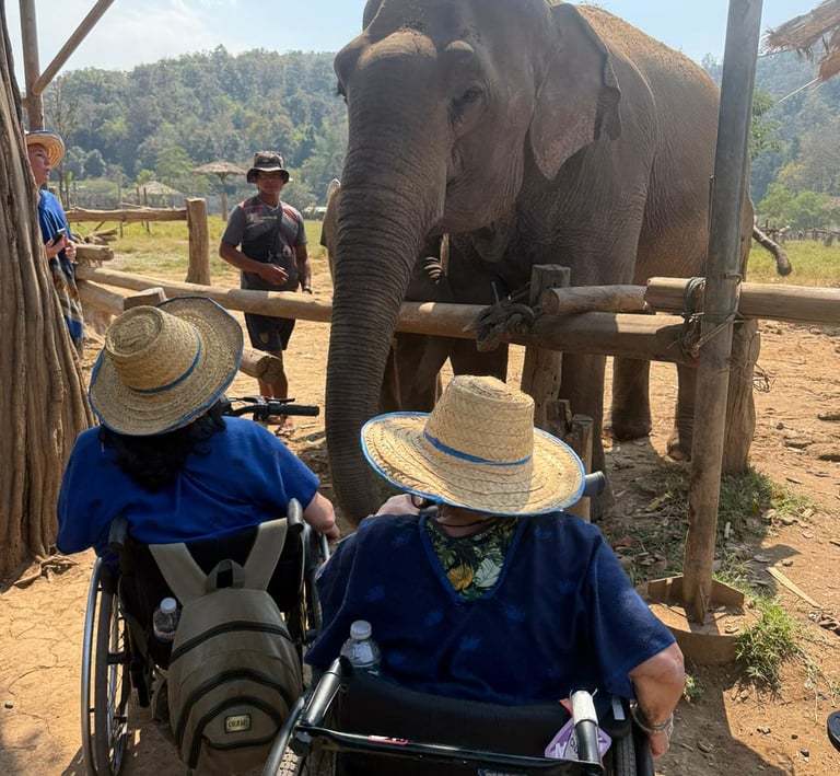Accessible Thailand two wheelchair users interacting with elephants in a sanctuary