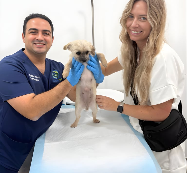 A male vet surgeon and a blonde woman smiling while holding a small puppy at a veterinary clinic.