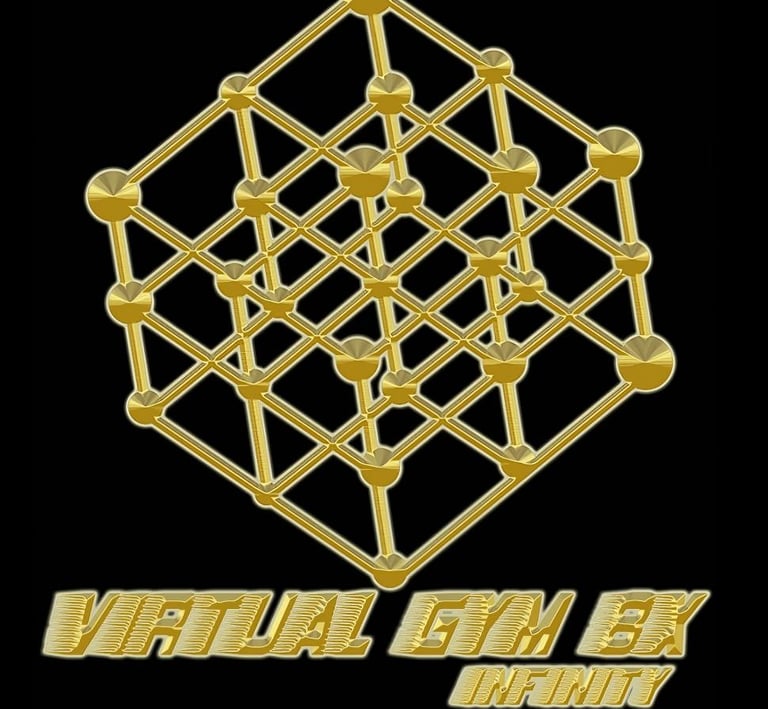 Virtual Gym Infinity