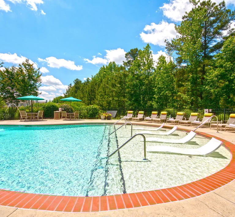 Luxury outdoor swimming pool with sun loungers, tanning ledge, and lush green trees under a blue sky.