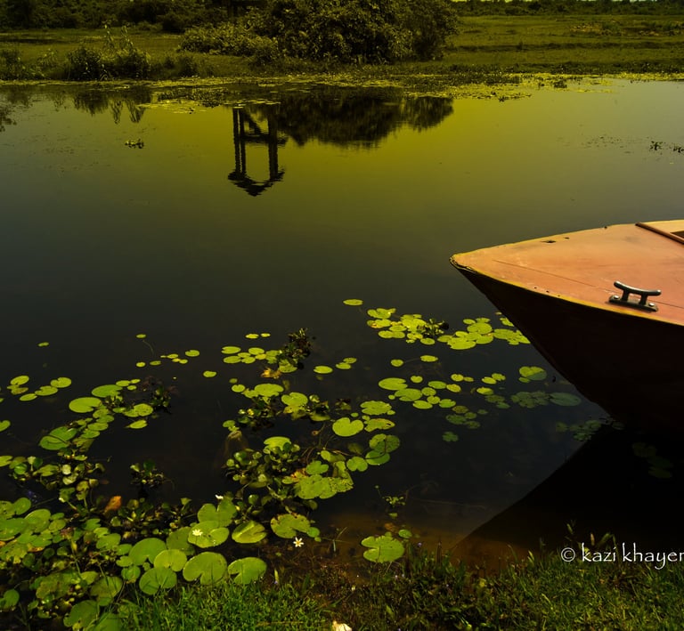 A vibrant photo of river voerd with green weeds with a part of a boat visible.