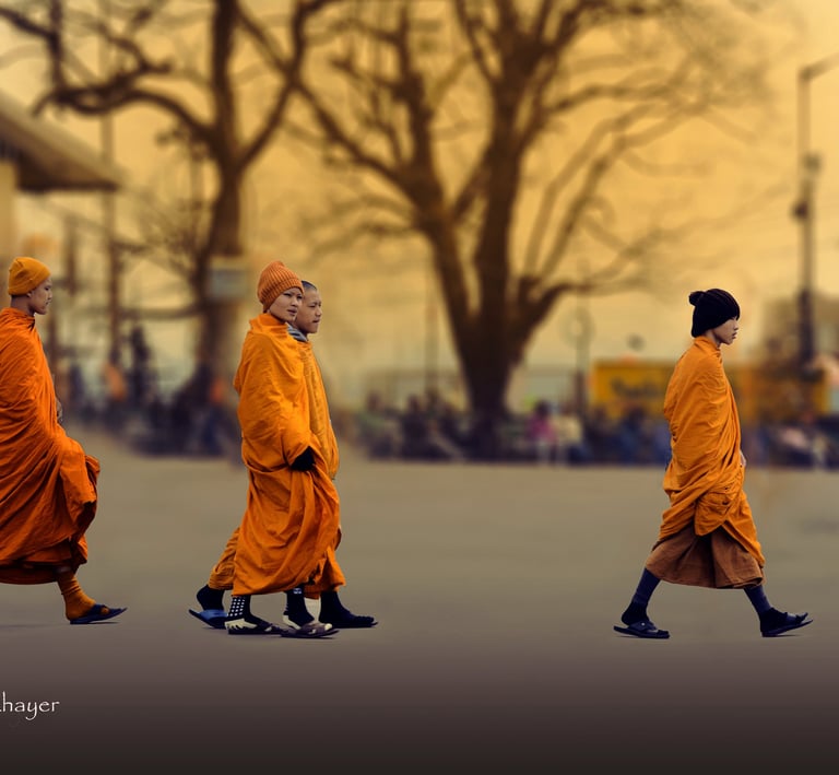 A mesmerizing picture of some buddhist monk marching.