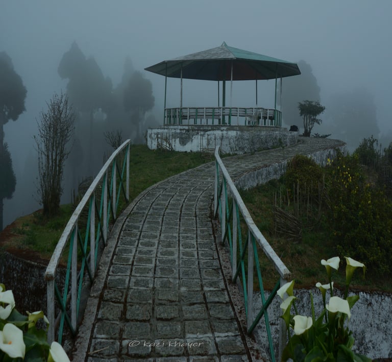 An artistic photograph of a bridge leading towards a shade in a misty day.