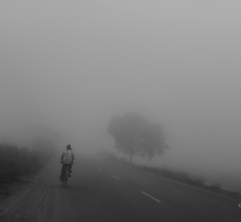 A misty day and a road with a single cycle-rider.