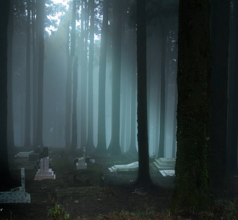 An eerie scene of misty graveyard.