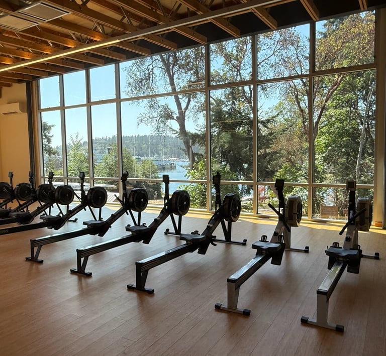 Indoor rowing machines set up and ready for a corporate team-building event