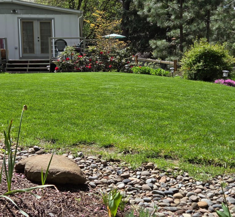 Lush green lawn in a backyard landscape with a dry creek bed, garden flowers, and patio deck.