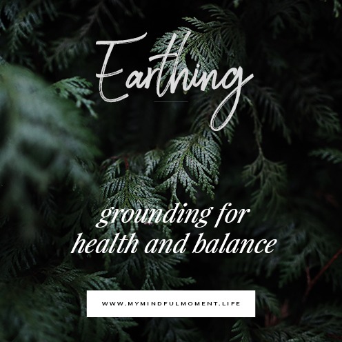 a pine tree with the words earthing grounding for health and health