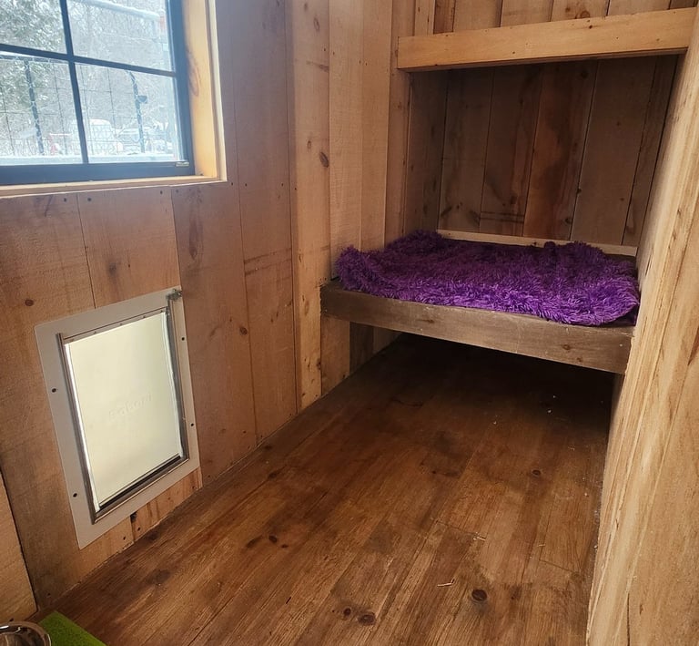 private sleeping dog boarding near Port Perry and Lindsay