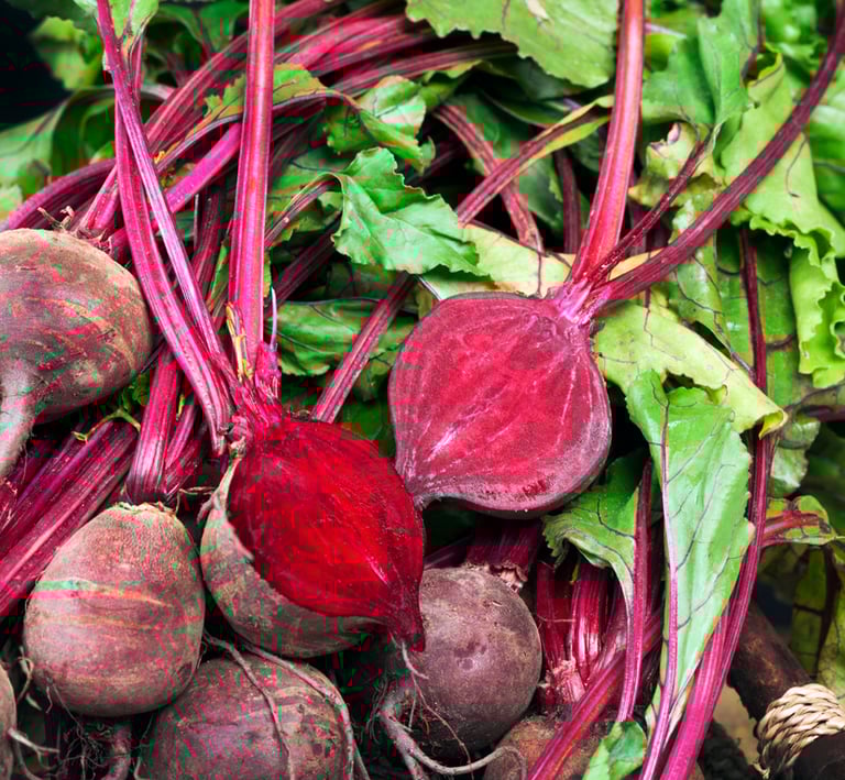 Close-up of ripe red beetroot ready for harvest – Seed Envy premium beetroot seeds