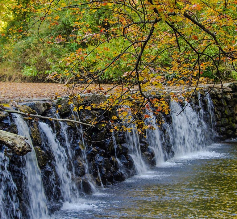 broad, and short waterfall at the dam of Ridley Creek State park, in the fall.