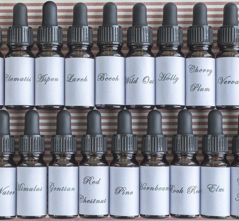 a bunch of bottles showing the names of assens 